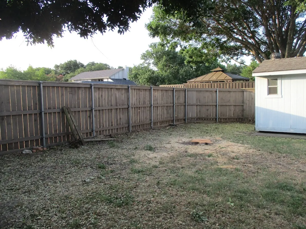 Cleared yard after professional tree removal in Shickley